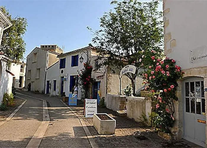 Ancienne Maison De Tisserande Atypique